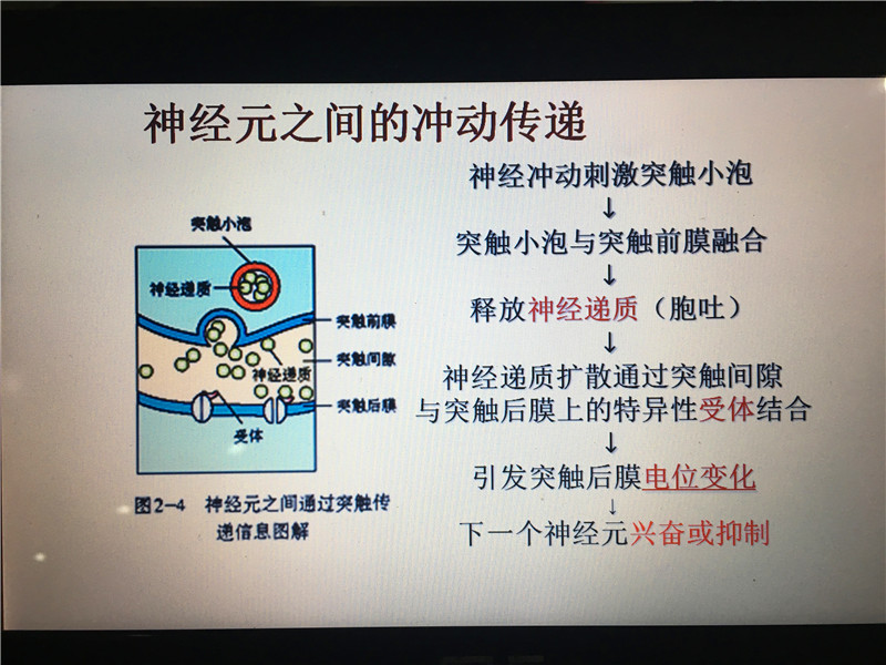 同课异构 共促成长 记我校生物公开课 株洲新凤凰高级中学